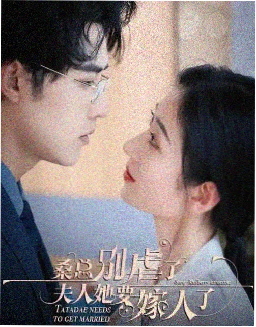 春风渡我古装剧免费播放